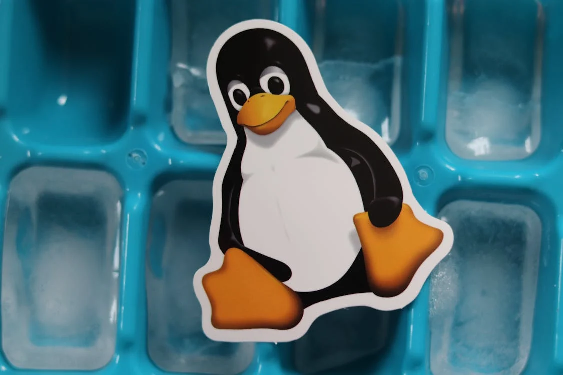 Curso Administración de Sistemas Linux