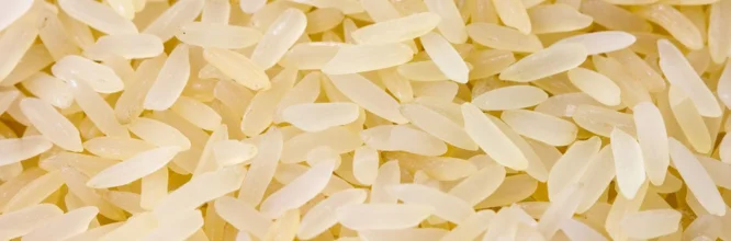 arros integral con atún y aguacate