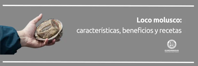 ¿Cuáles son los beneficios del loco molusco y cómo consumirlo?