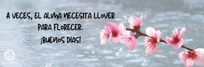 buenos dias lluviosos