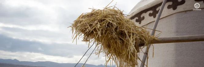 Características de los nómadas