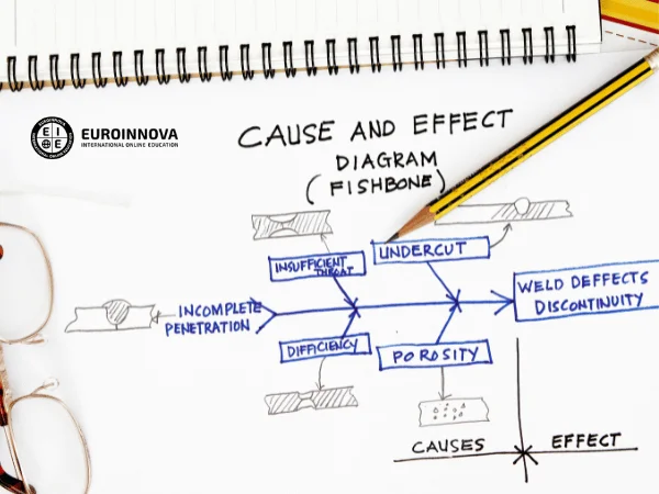 Cause and effect diagram