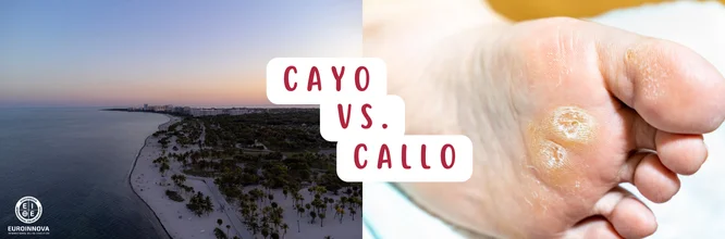 Cayo o callo: ¿Cuál es la diferencia y cómo usarlos correctamente?