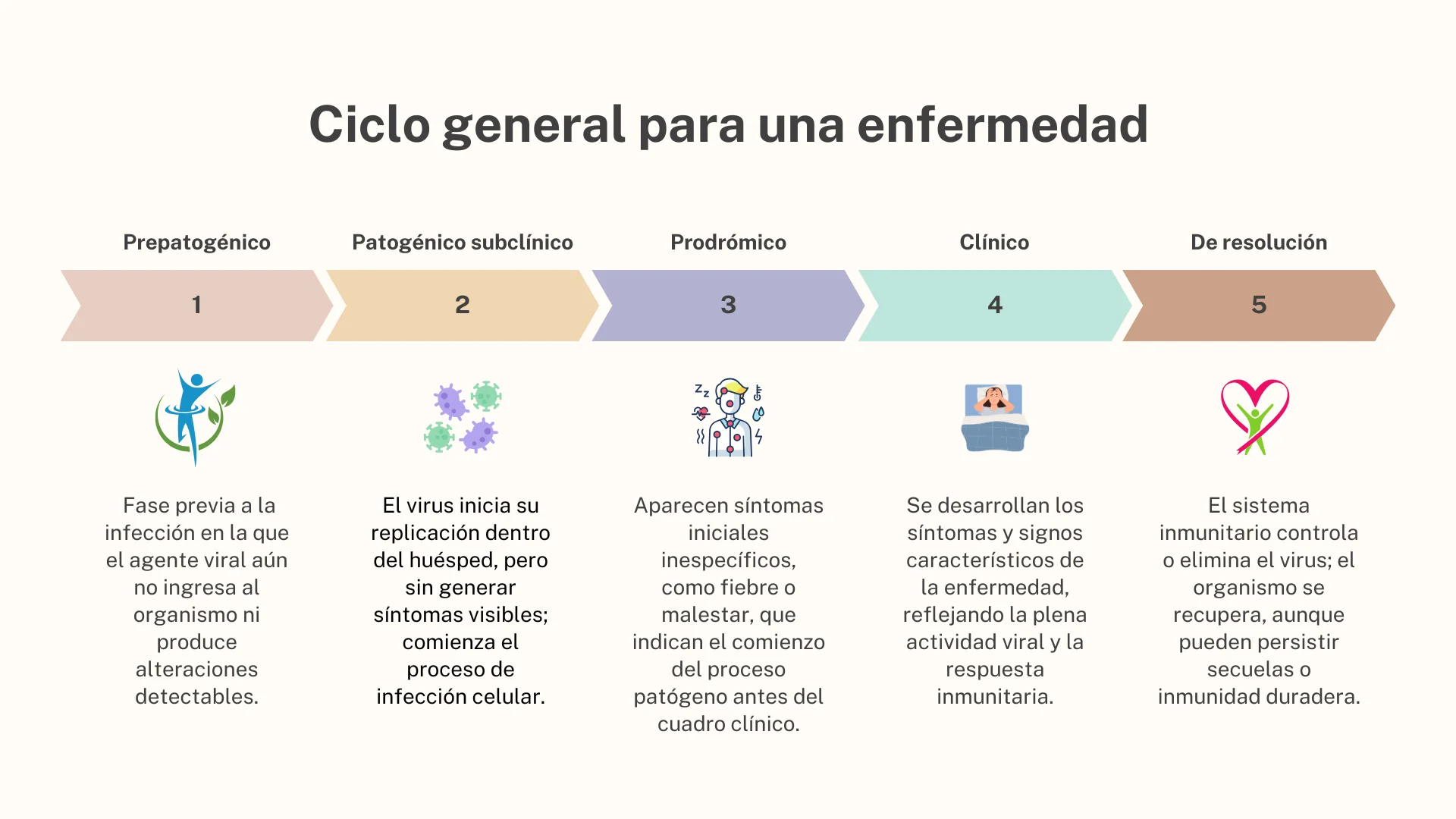 ciclo de propagación de enfermedad