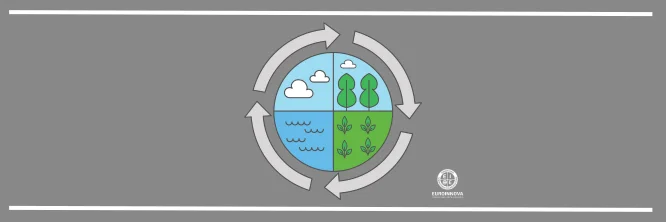 Ciclo del carbono, un proceso natural clave para la vida
