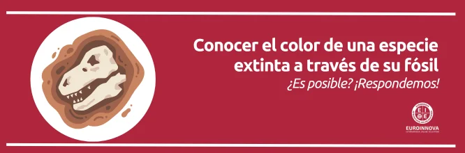 ¿Es posible conocer el color de una especie extinta a través del fósil?