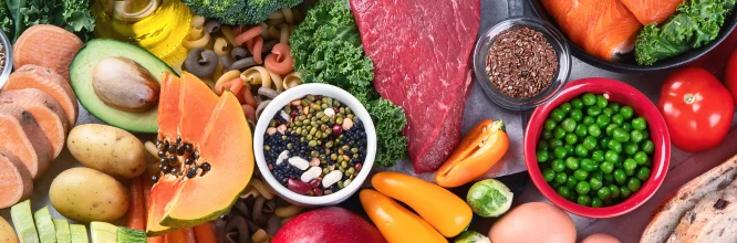 Cómo se debe elaborar una dieta