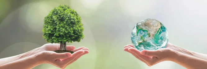 ¿Cuáles son los componentes del medio ambiente?