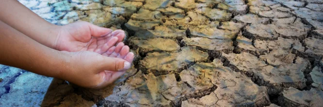 Descubre qué es el desperdicio del agua y cuáles son sus consecuencias