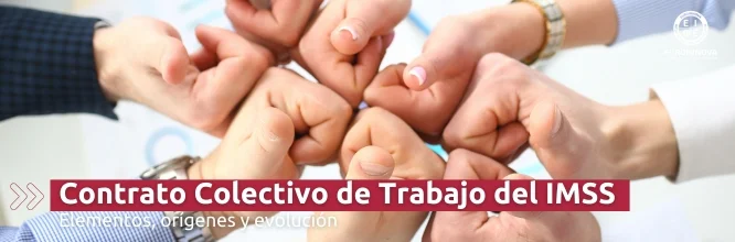 ¿Cuáles son los elementos del Contrato Colectivo de Trabajo del IMSS?