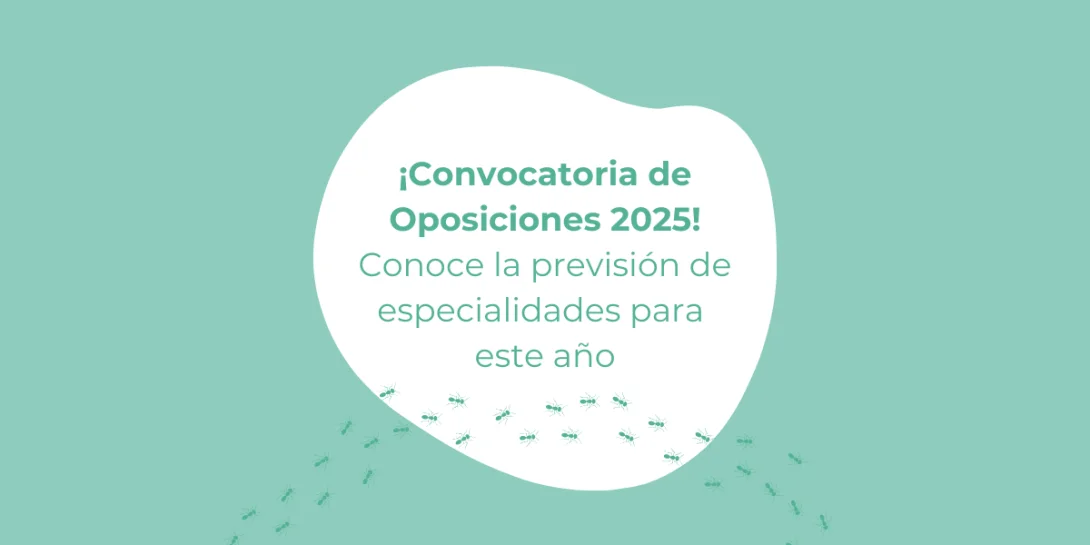 Oposiciones Maestros 2025: Especialidades confirmadas y novedades