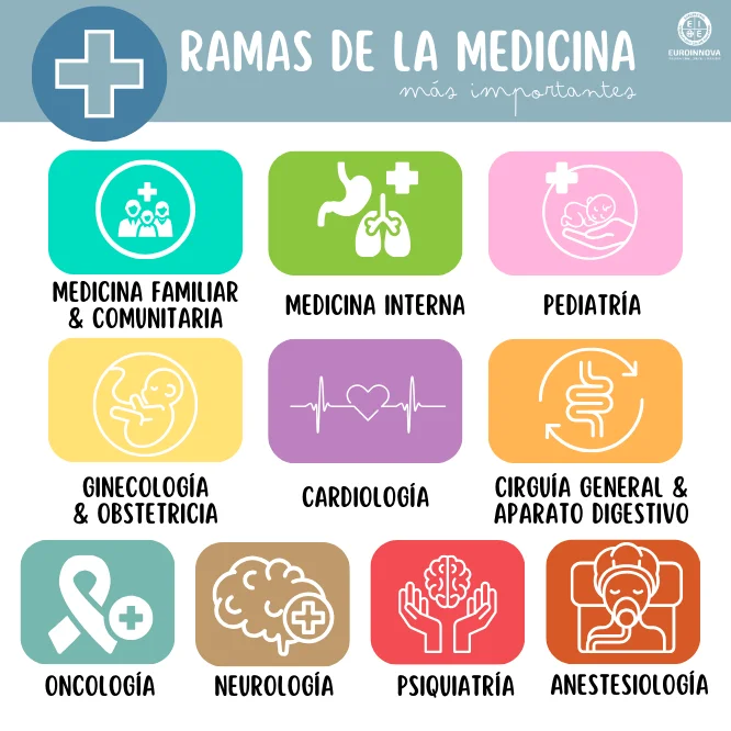 ¿Cuáles son las ramas de la medicina?