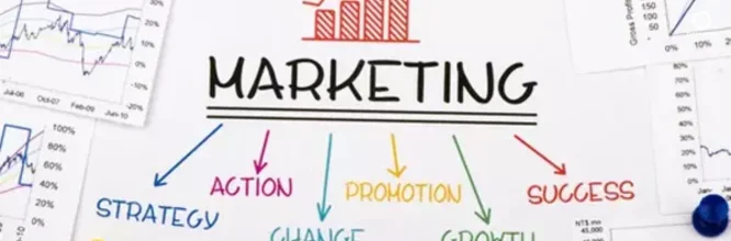 ¿De qué se trata la carrera de marketing?