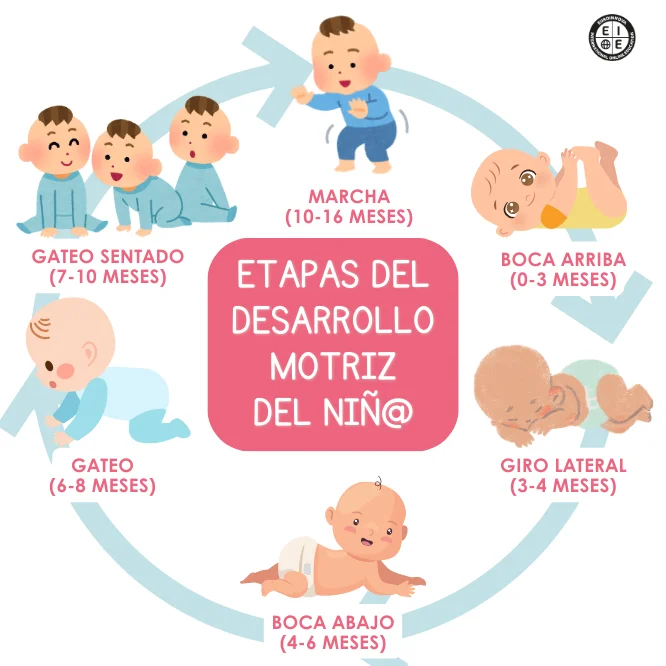 ¿Qué es el desarrollo motriz del niño? Definición y etapas