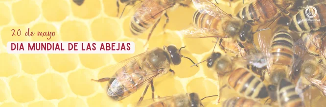Día de las Abejas: un homenaje a estas guardianas de la vida