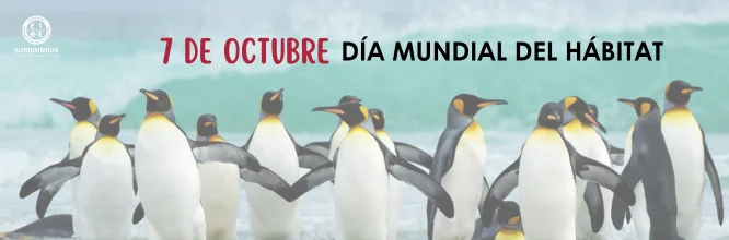Día Mundial del Hábitat