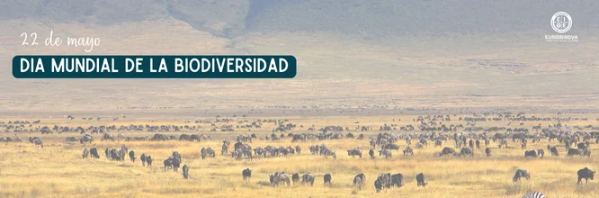 Día Mundial de la Biodiversidad