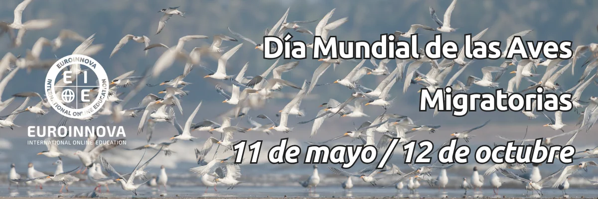 Dia Mundial de las Aves Migratorias