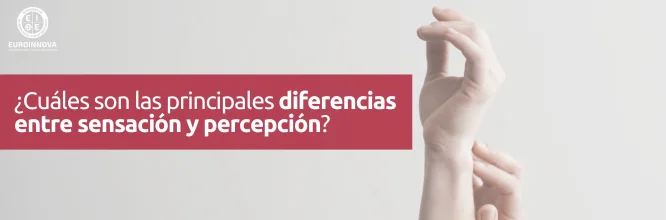 Diferencias entre sensación y percepción