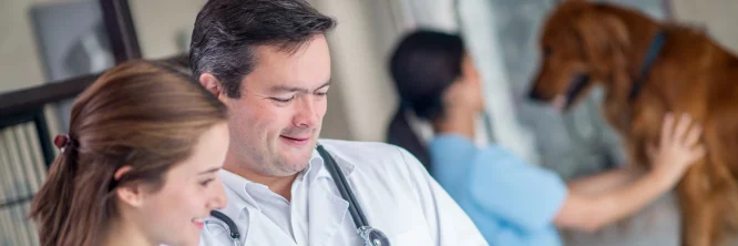dónde estudiar auxiliar de veterinaria