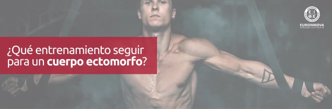 Entrenamiento para cuerpo ectomorfo