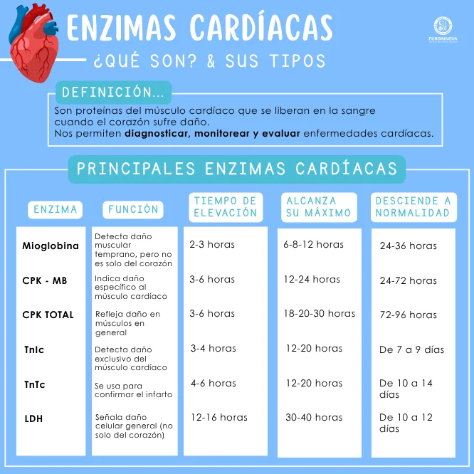 Importancia de las enzimas cardíacas