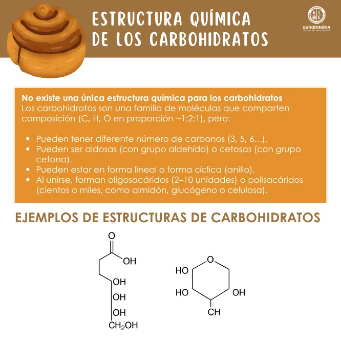 Estructura química de los carbohidratos
