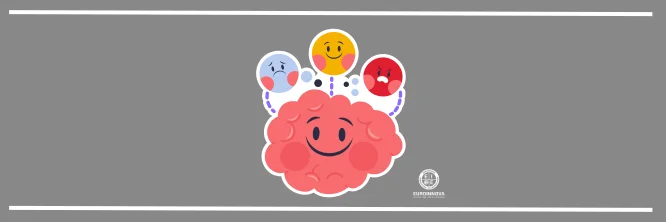 ¡Explorando! Las etapas del desarrollo emocional