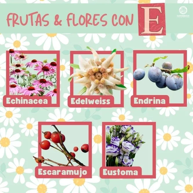 Flores y frutas con E