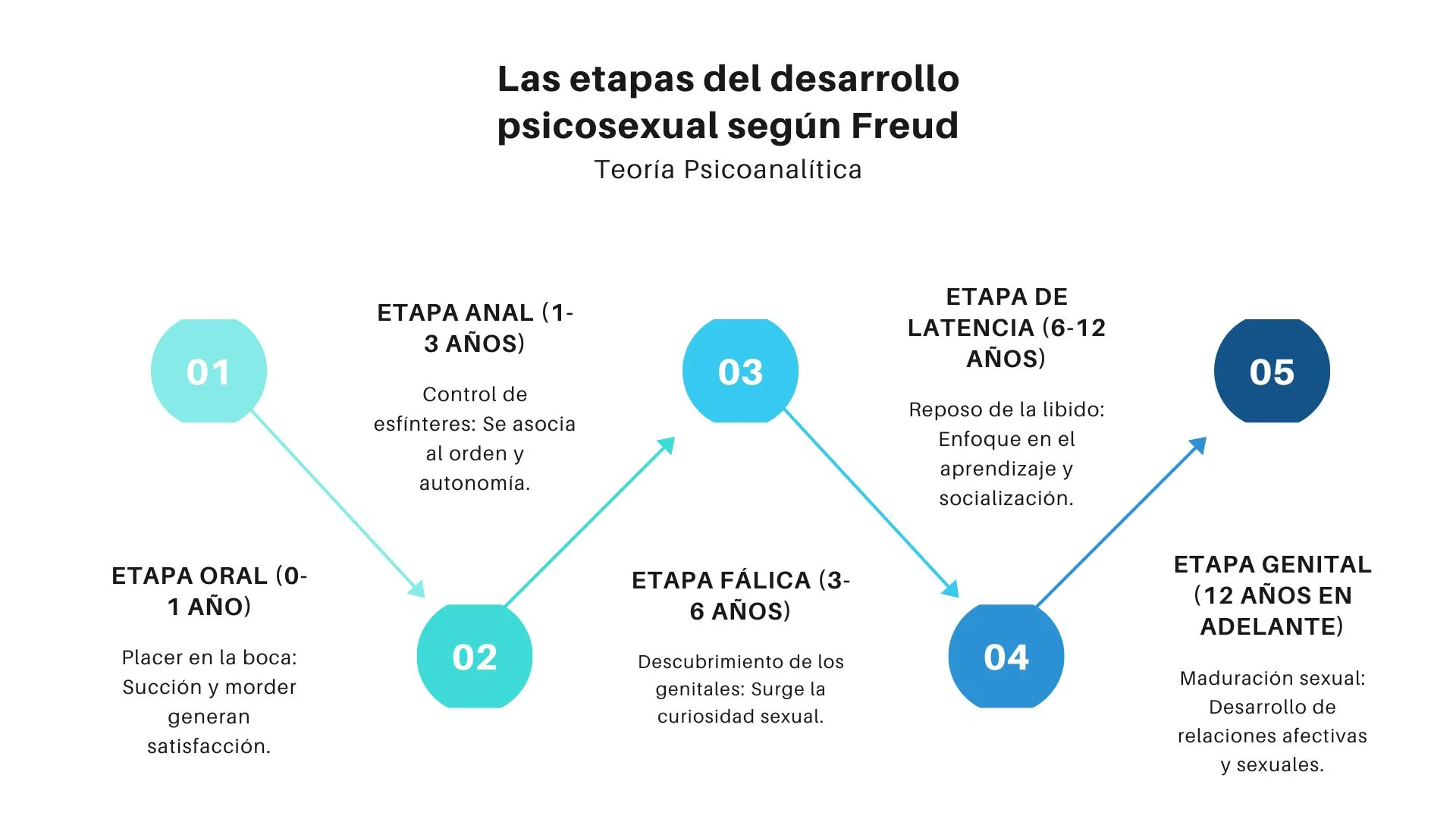 Freud etapas
