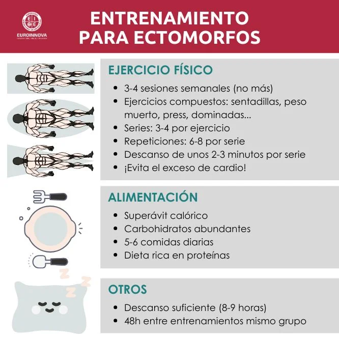 Entrenamiento para cuerpo ectomorfo