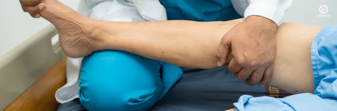 Habilidades de un fisioterapeuta