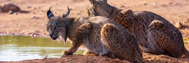 imágenes de noticias positivas