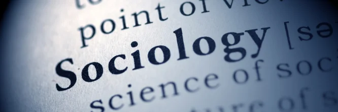 Conoce cuál es la importancia de la sociología