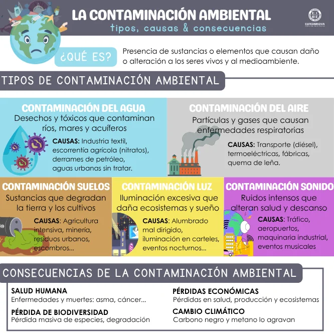 ¿Buscas una infografía de la contaminación ambiental?