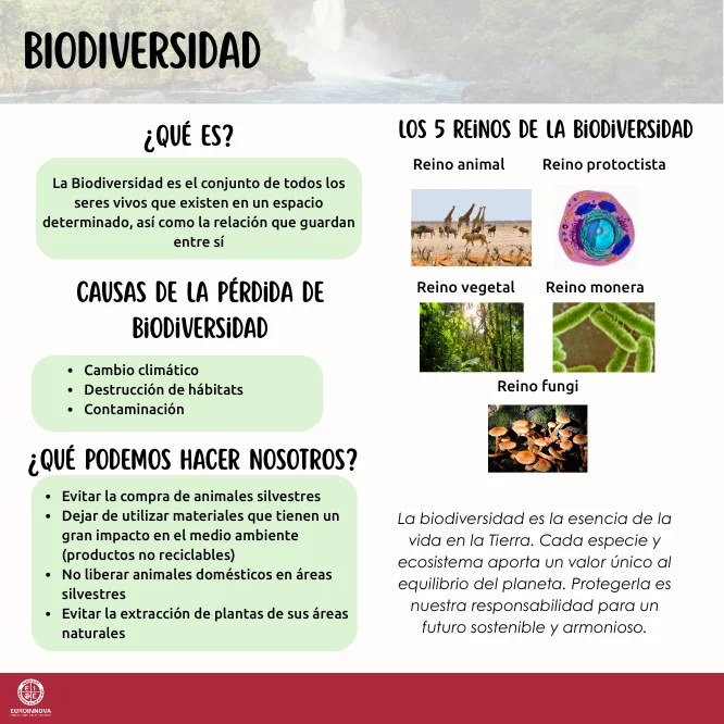 infografía de la biodiversidad