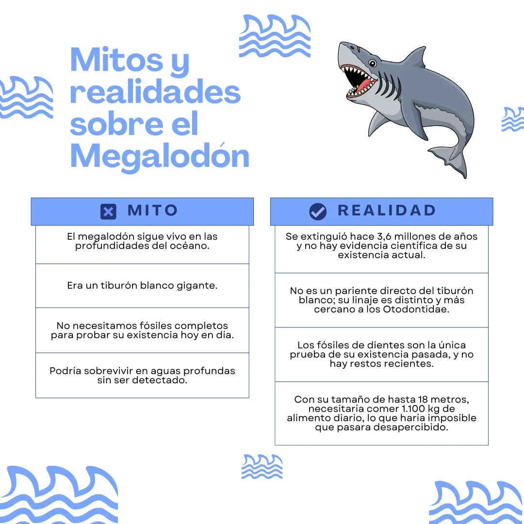 Información del megalodón