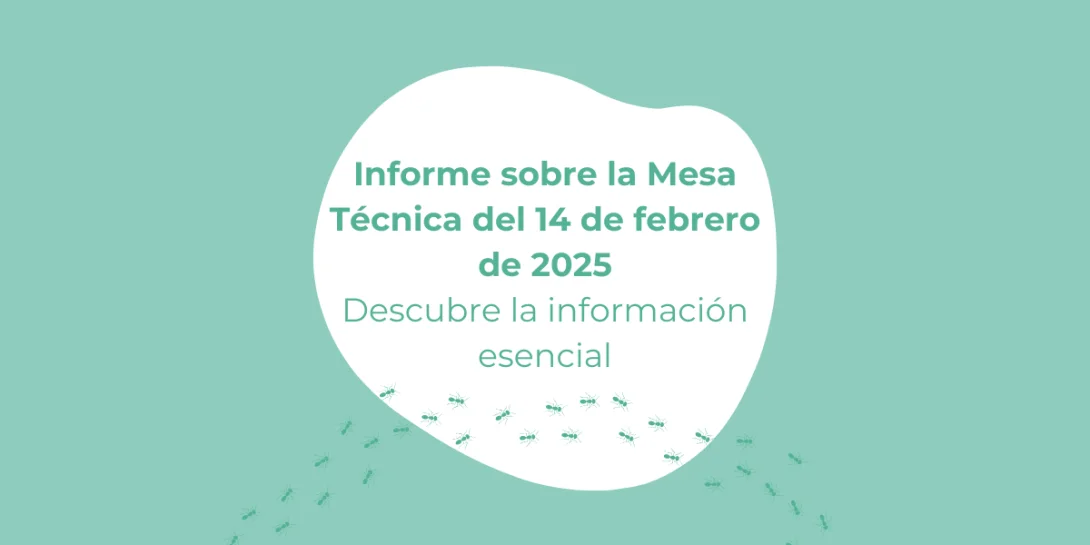 informe de mesa tecnica oposiciones