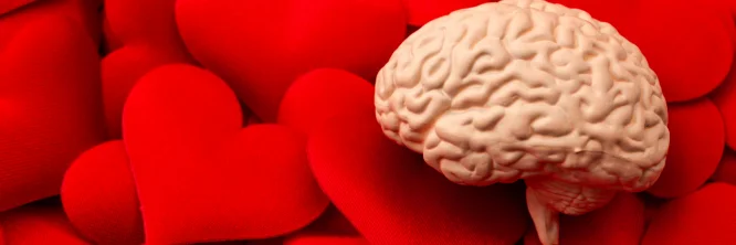 Intrapersonal intelligence: the closest thing to having the formula for happiness