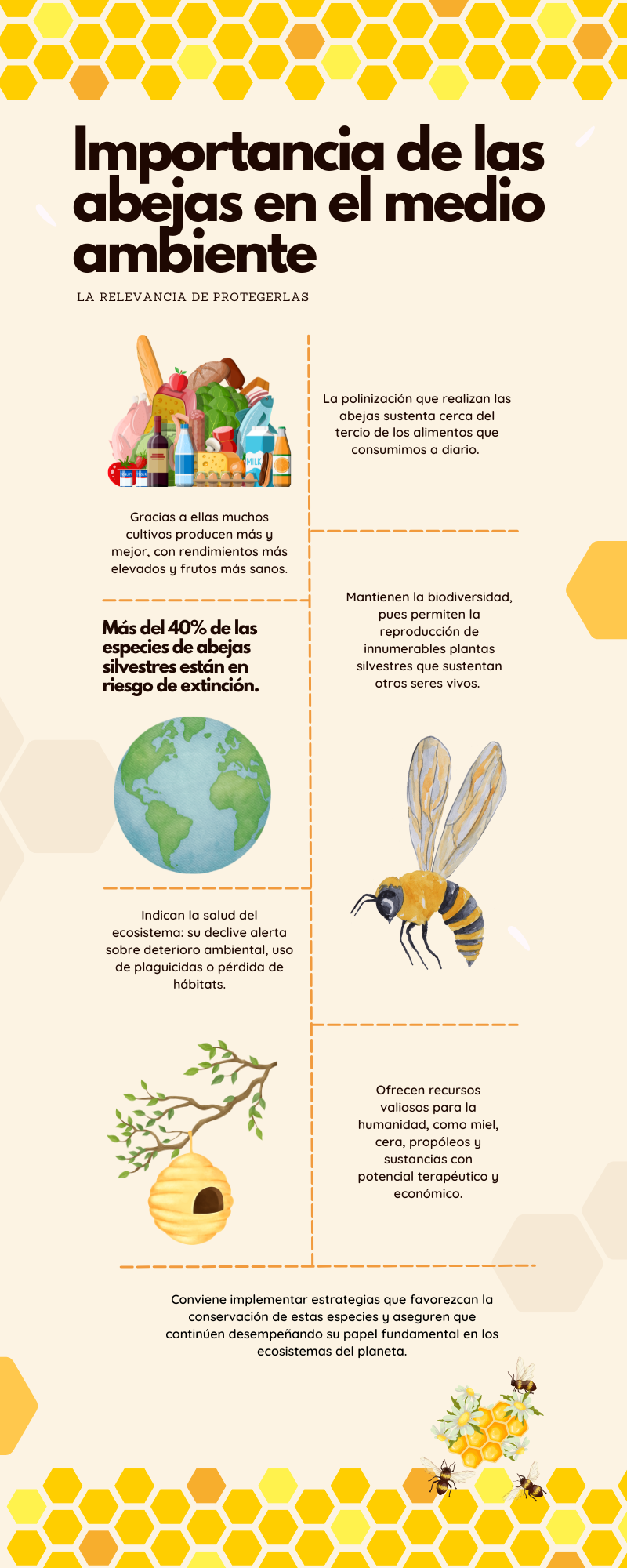 la vida de las abejas para niños de preescolar