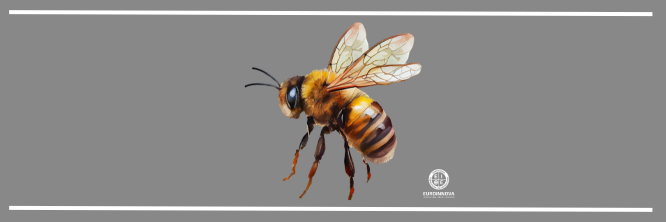 la vida de las abejas para niños de preescolar