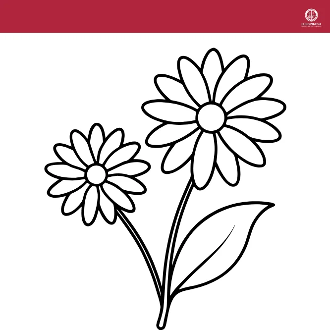 Margaritas de flores fáciles para colorear para niños