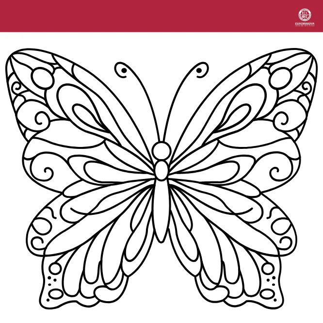 Mariposas realistas para colorear