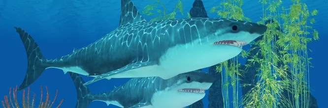 Megalodón fotos reales