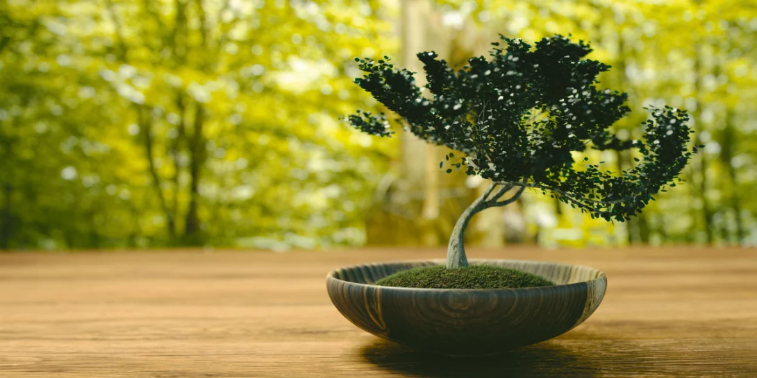 método bonsai