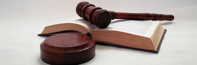 What does the new Employment Law propose to overcome the challenges of the current labour framework?