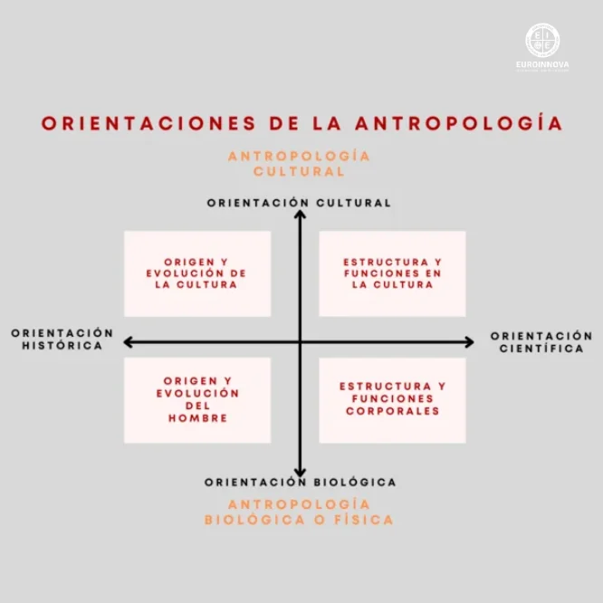 Orientaciones de la Antropología