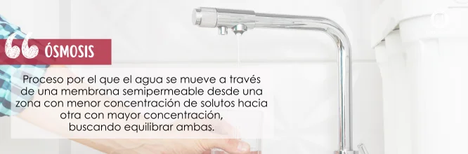 ¿Qué es la ósmosis y en qué consiste?