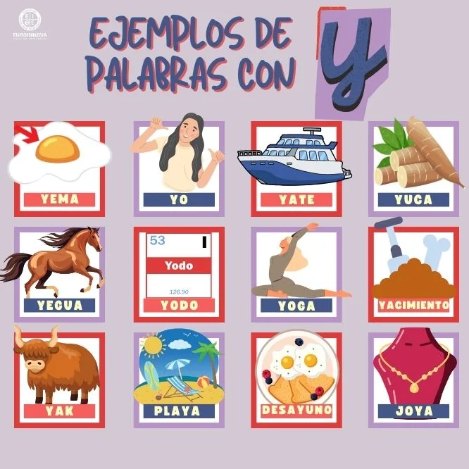 ¿Conoces estas palabras con Y?