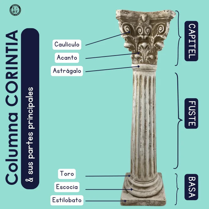 Partes de una columna corintia